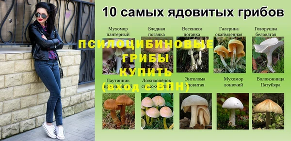 стафф Володарск