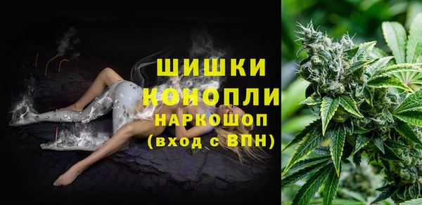 стафф Володарск