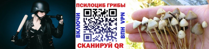 kraken зеркало Курган Галлюциногенные грибы мухоморы